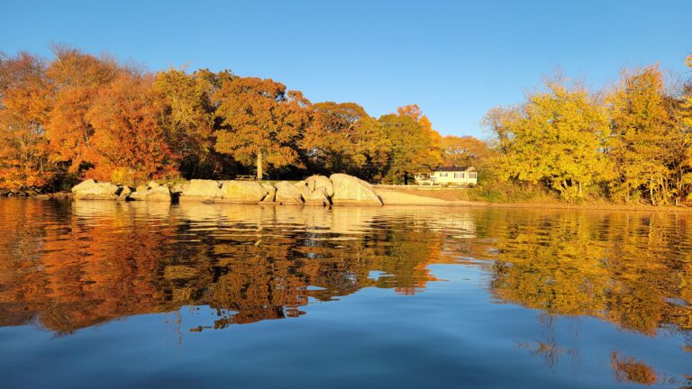 A Serene Symphony of Morning Bliss: Nature’s Mirror by the Pond