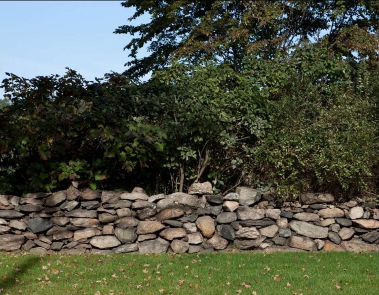 Stone Walls of Massachusetts: A Glimpse into Westport’s Historic Landscape